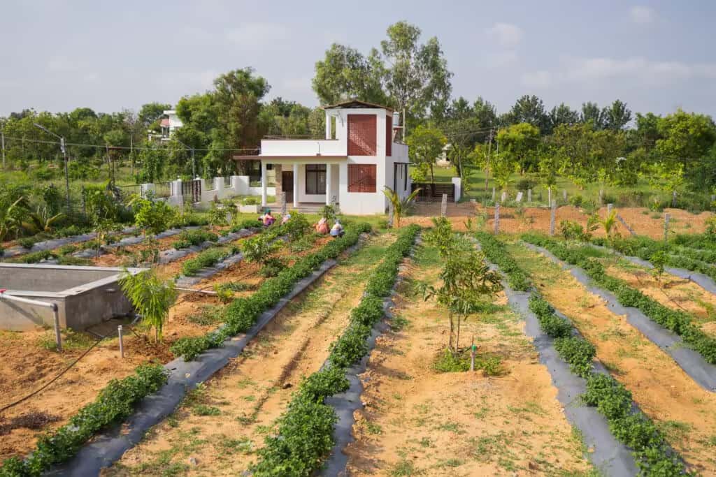 Serene landscape at Green Lakes farmland
