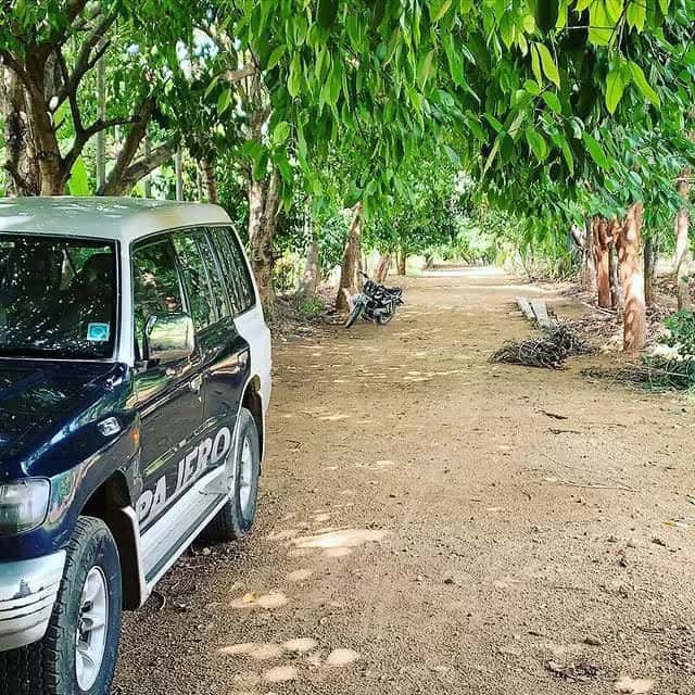 Visitors enjoying farm tour at Green Lakes