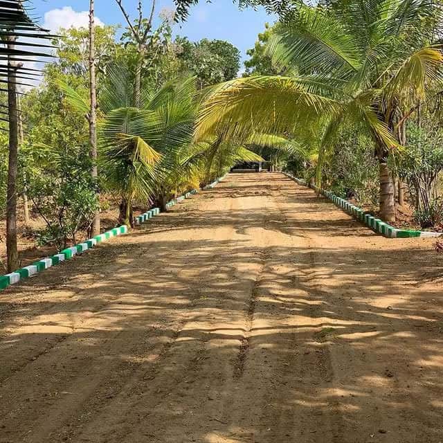 Beautiful farm landscape at Green Lakes