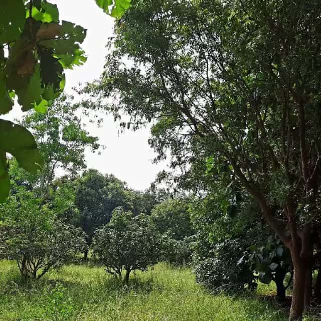Scenic farm view at Green Lakes property