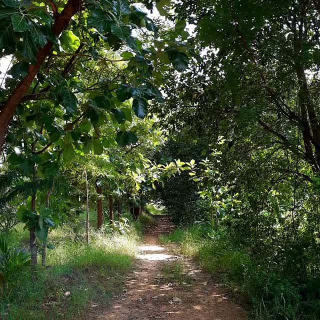 Green Lakes farm panoramic view