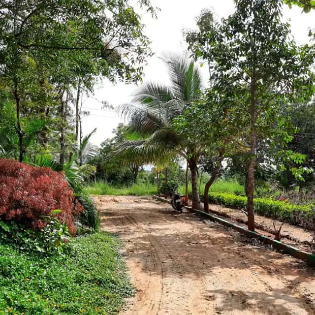 Stunning farm view at Green Lakes property