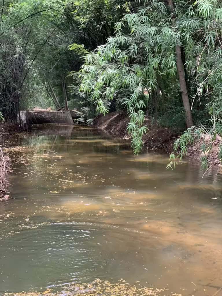 Natural water stream at Green Lakes property