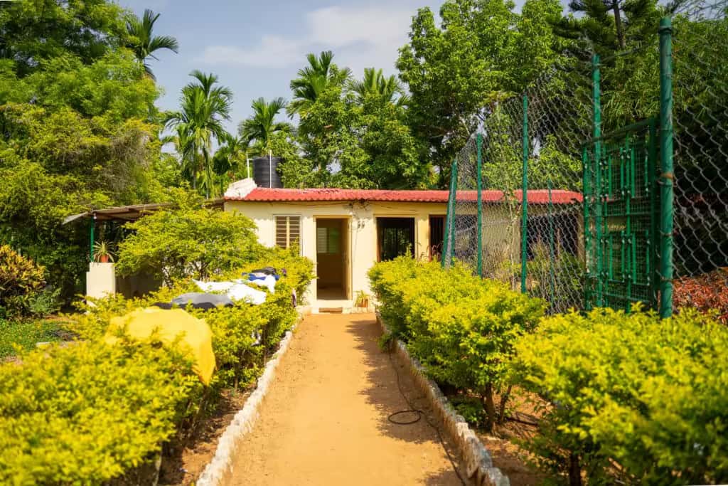 Farmhouse surrounded by greenery at Green Lakes