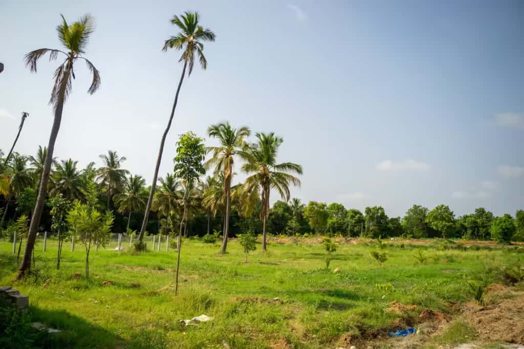 Group farm visit at Green Lakes property