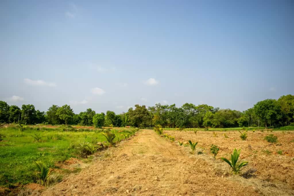 Visitors touring Green Lakes farm plots