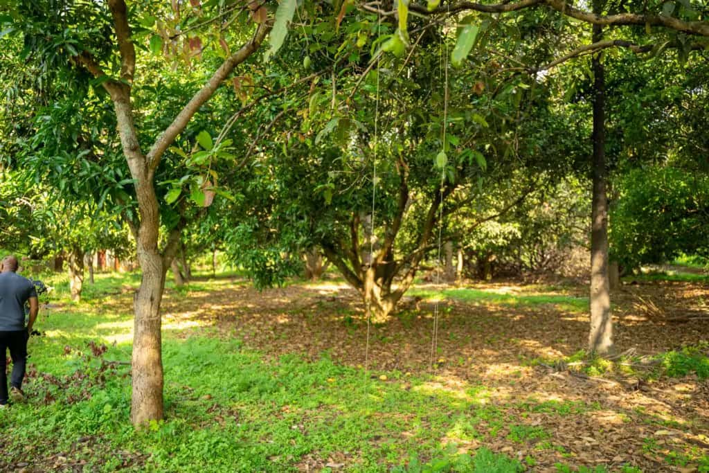 Site visit experience at Green Lakes