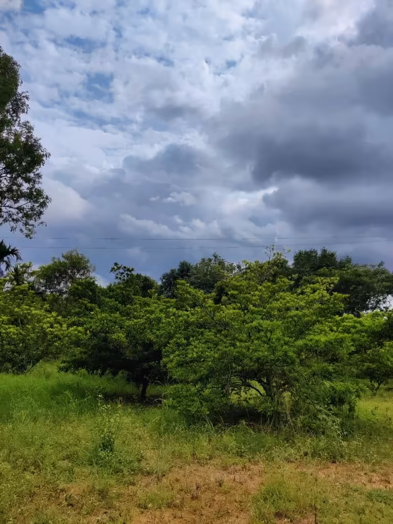 Modern infrastructure at Green Lakes farmland