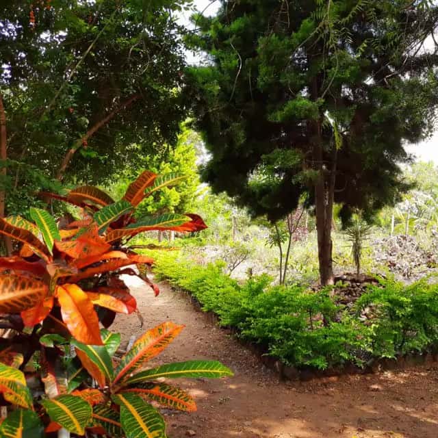 Natural landscape view at Green Lakes