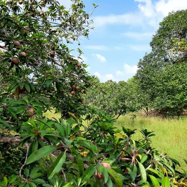 Modern infrastructure at Green Lakes farmland