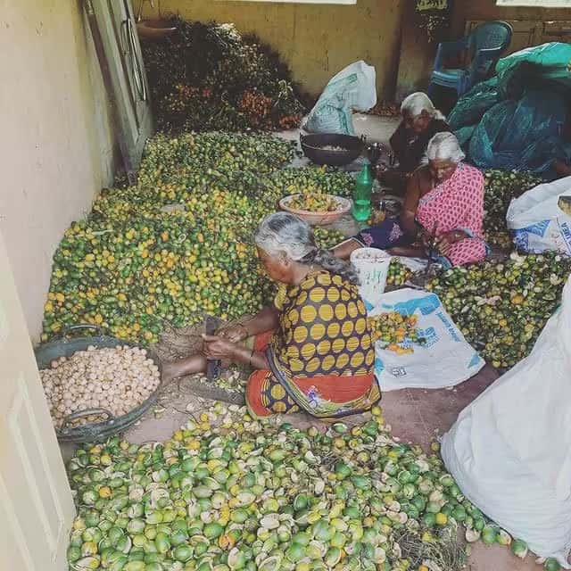 Farm-fresh fruits at Green Lakes plantation