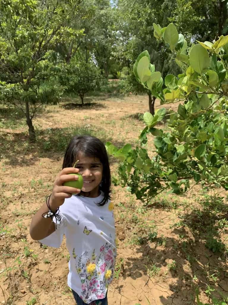 Farm visit at Green Lakes plantation area